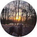 Nick Atter profile picture