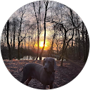 Nick Atter profile picture
